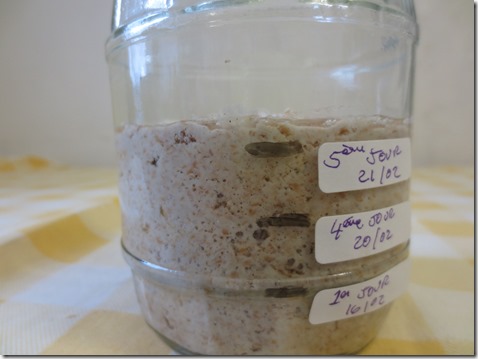 Comment faire un levain-mère